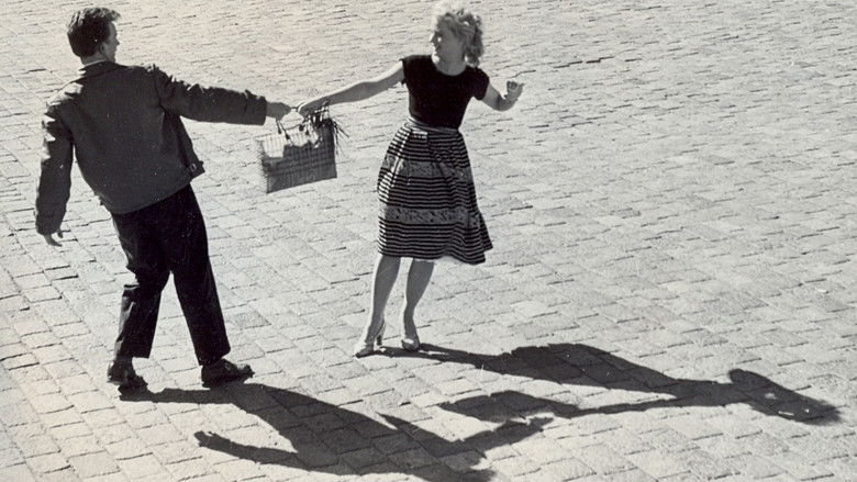 кадр из фильма Меч и роза