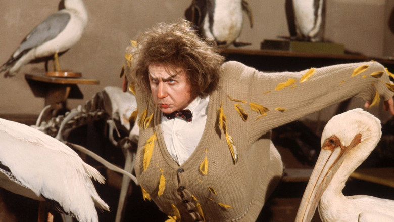 кадр из фильма Брюстер МакКлауд