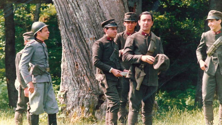 кадр из фильма Una gita scolastica