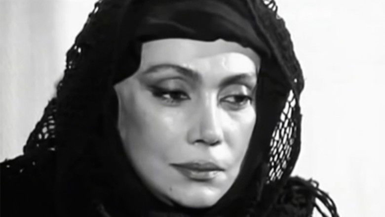 кадр из фильма محاکات غزاله علیزاده