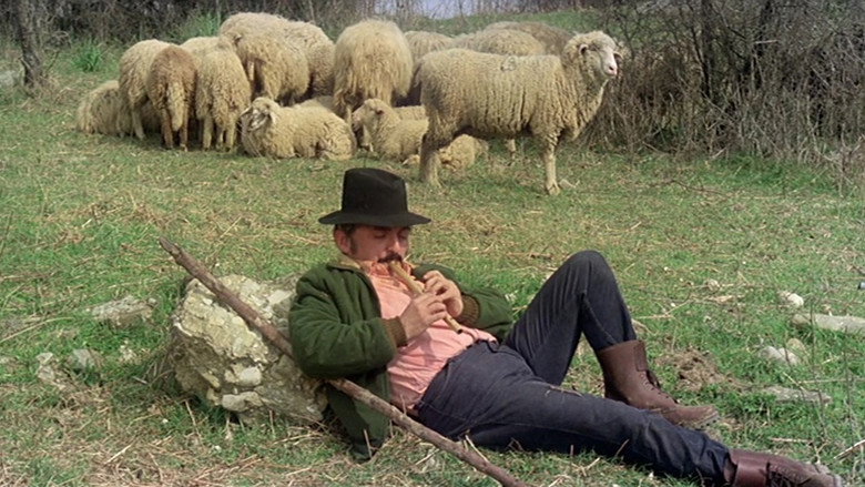 кадр из фильма Любовь, постель и предательство