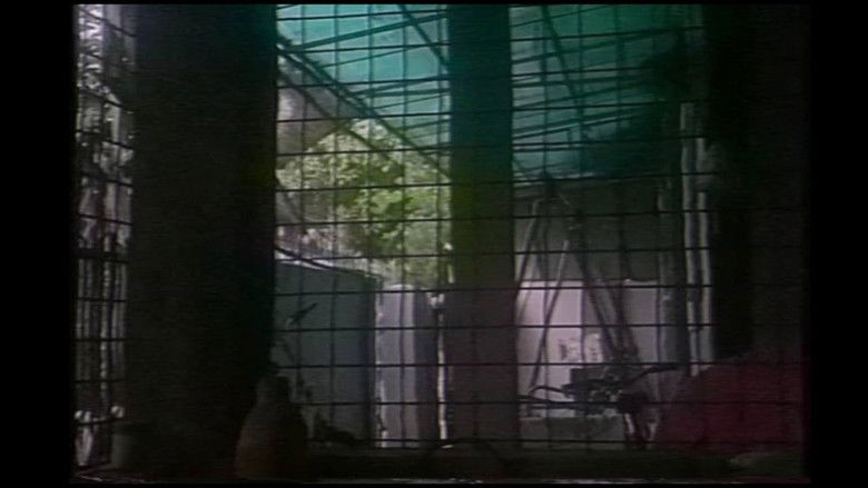 кадр из фильма နှင်းစက်