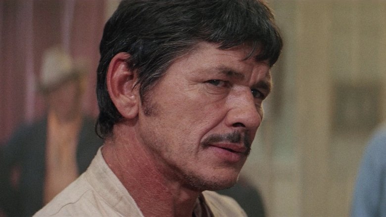 кадр из фильма Ты не сможешь победить их всех