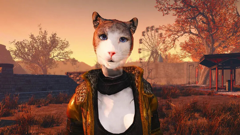 кадр из фильма 猫咪本喵