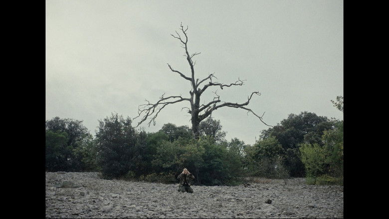 кадр из фильма Capharnaüm