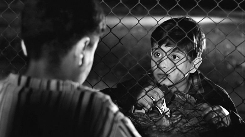 кадр из фильма Καρδιές στην καταιγίδα