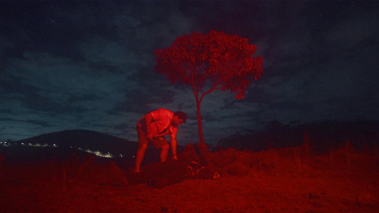 кадр из фильма Zellner