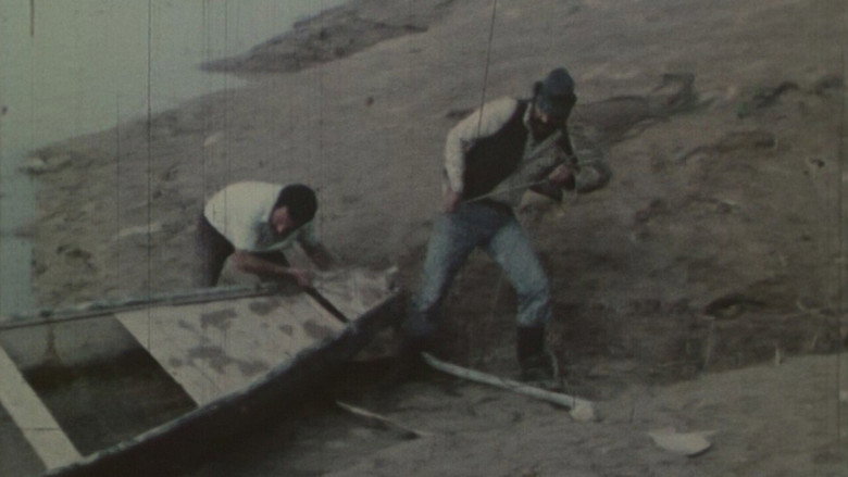 кадр из фильма رود زهر