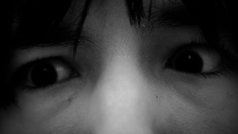 кадр из фильма the forest of great mystery and emptiness