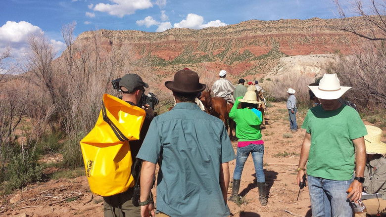 кадр из фильма The Miller Prediction