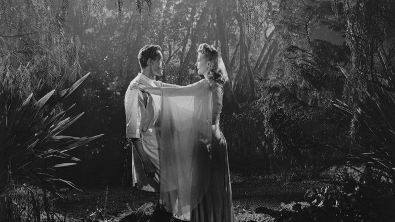 кадр из фильма Месть зомби