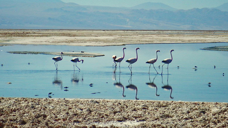 кадр из фильма El cost amagat