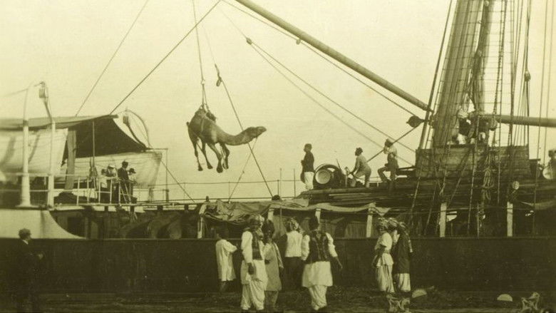 кадр из фильма Afghan Cameleer in Australian from 1860-1920