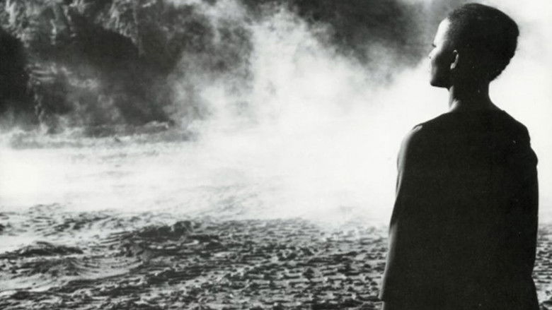 кадр из фильма The Passion of Remembrance