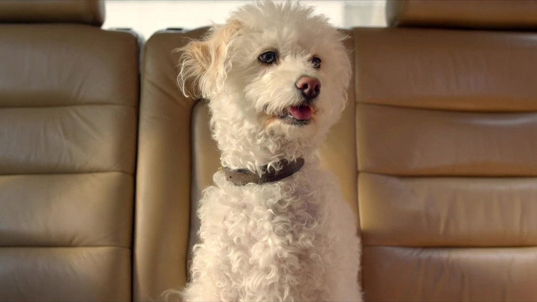 кадр из фильма Premium Harmony