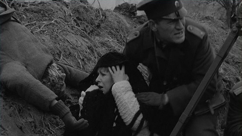 кадр из фильма Выстрел из милосердия