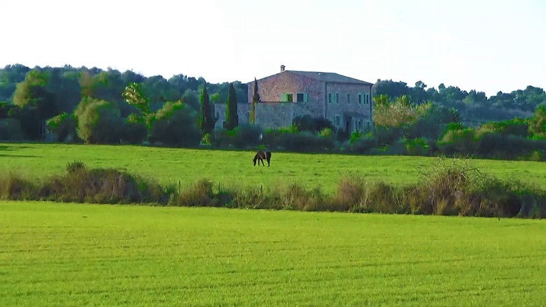 кадр из фильма Es quizás