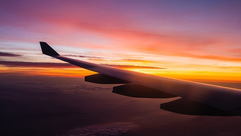 кадр из фильма Adam & Henry Adventures