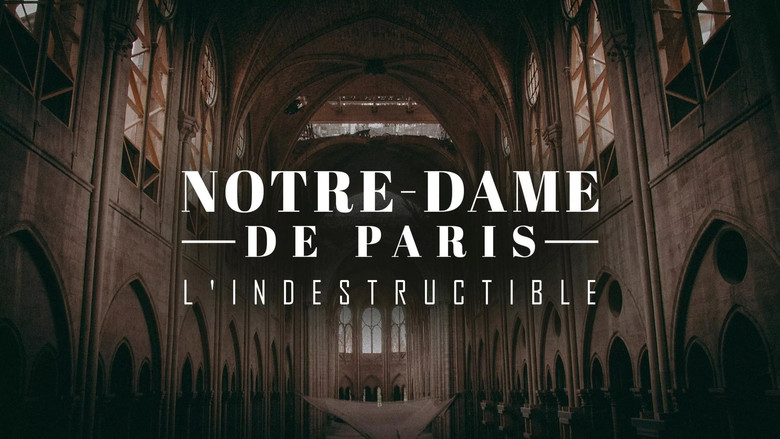 кадр из фильма Notre-Dame de Paris, l'indestructible