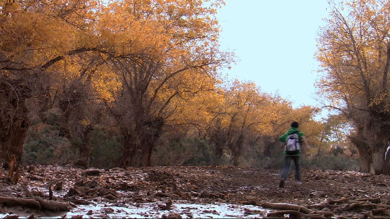 кадр из фильма 胡杨深处是我家