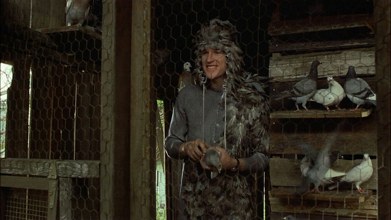 кадр из фильма Птаха