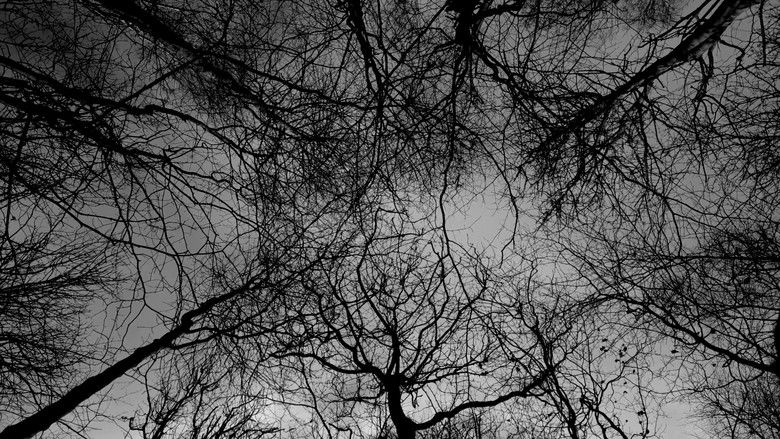 кадр из фильма Spectral Tranquility