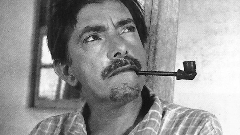 кадр из фильма O Jeca Macumbeiro