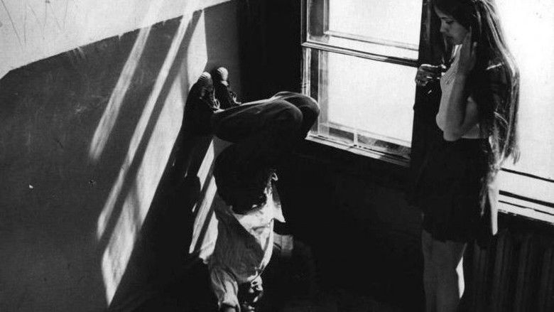 кадр из фильма Не болит голова у дятла