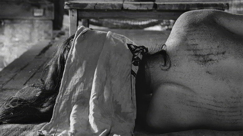 кадр из фильма Женщина в песках