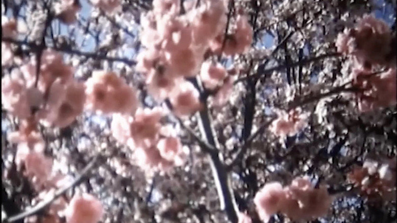 кадр из фильма Pastourelle