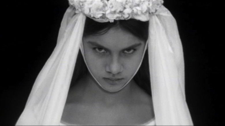 кадр из фильма Údolí včel