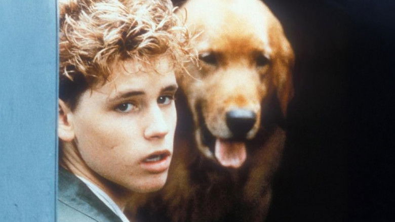 кадр из фильма Наблюдатели