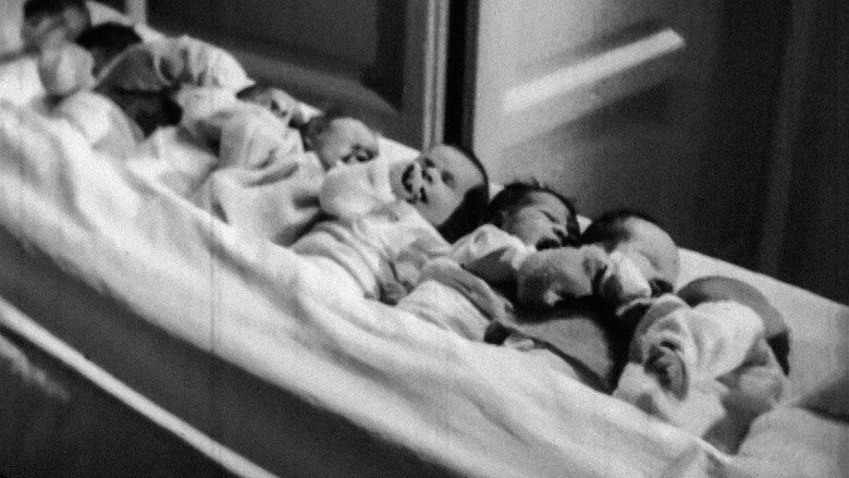кадр из фильма Fratelli di culla