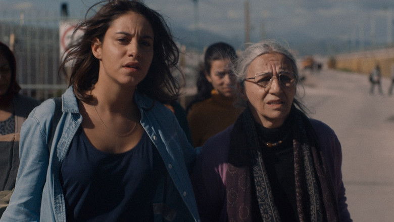 кадр из фильма Разлучённые сёстры