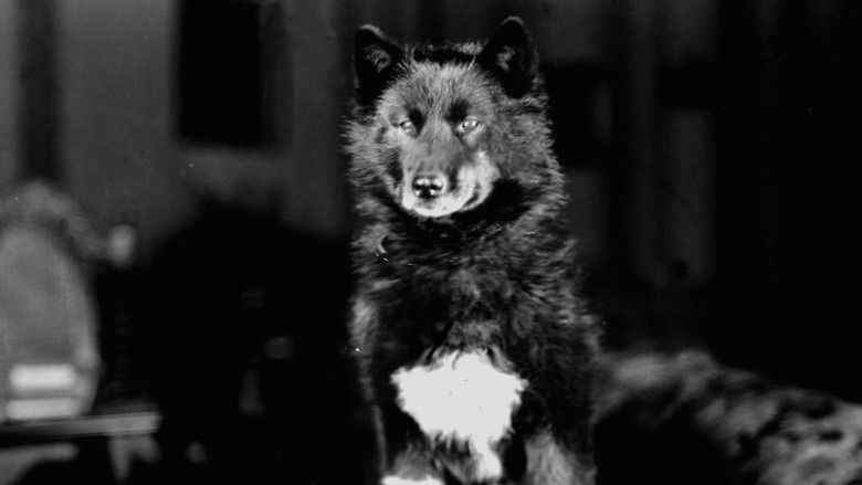 кадр из фильма Balto - helten fra Alaska