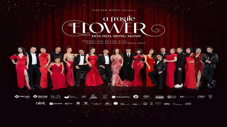 кадр из фильма Một Bông Hoa Mong manh