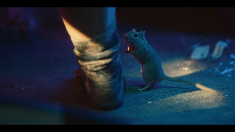 кадр из фильма Damsel in Geekstress