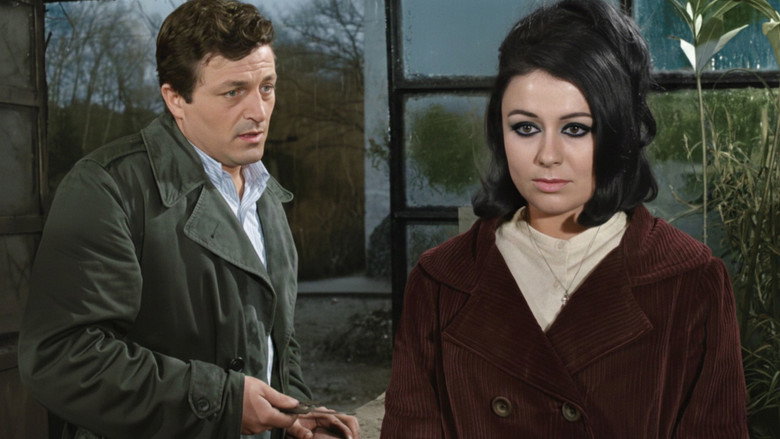 кадр из фильма Sevmek Zamanı