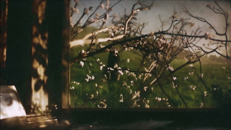 кадр из фильма Мать и сын