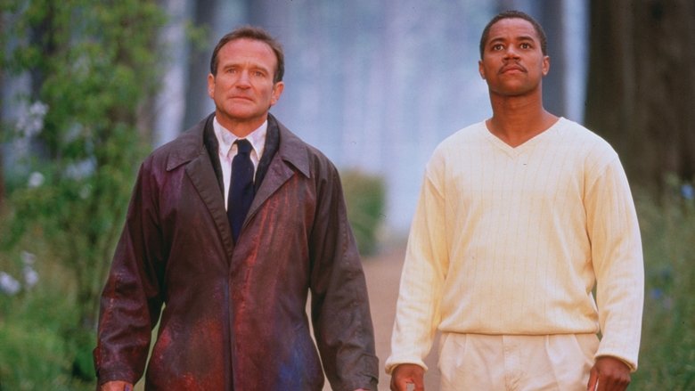 кадр из фильма Куда приводят мечты