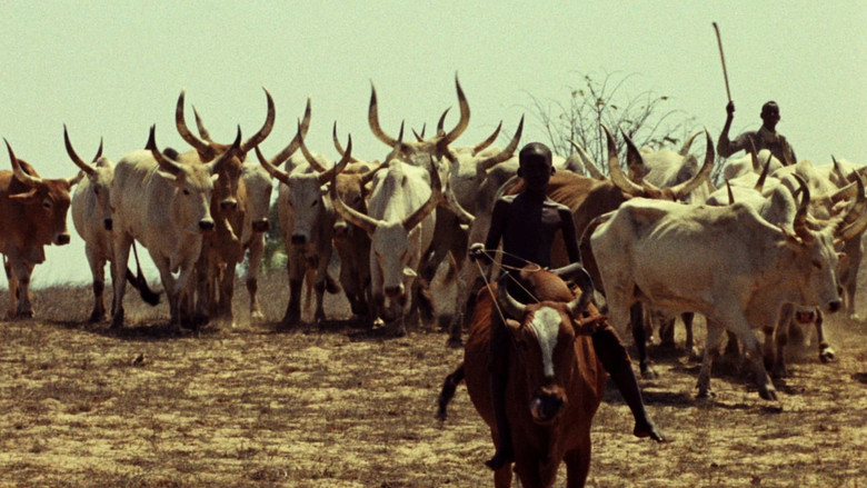 кадр из фильма Туки-Буки