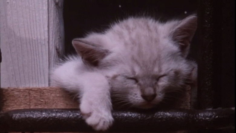 кадр из фильма Voci nel tempo