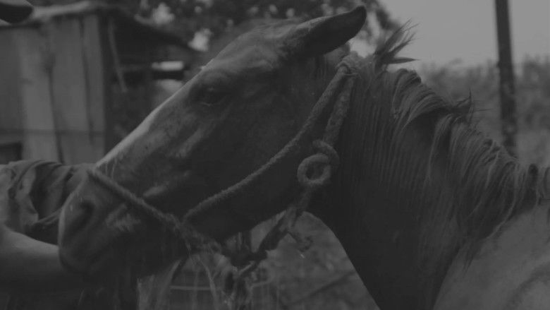 El Silencio de la Tierra