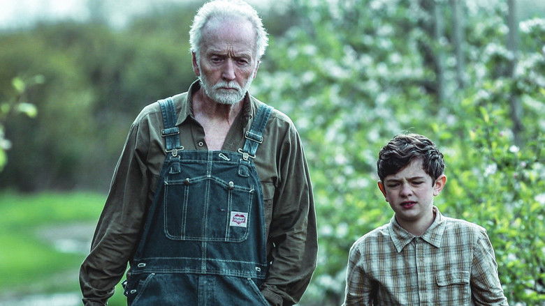 кадр из фильма My Pretty Pony