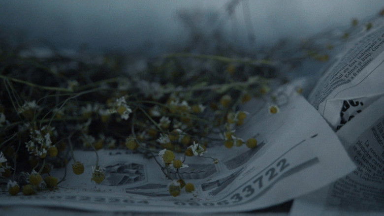 кадр из фильма Дядя Тудор