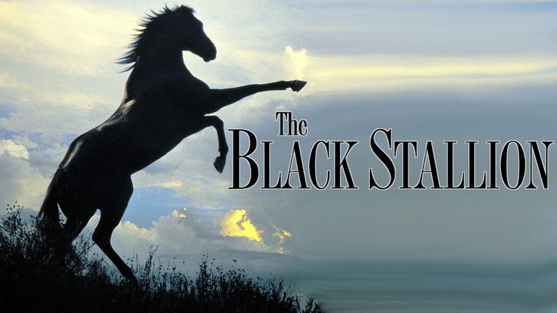 кадр из фильма Черный скакун