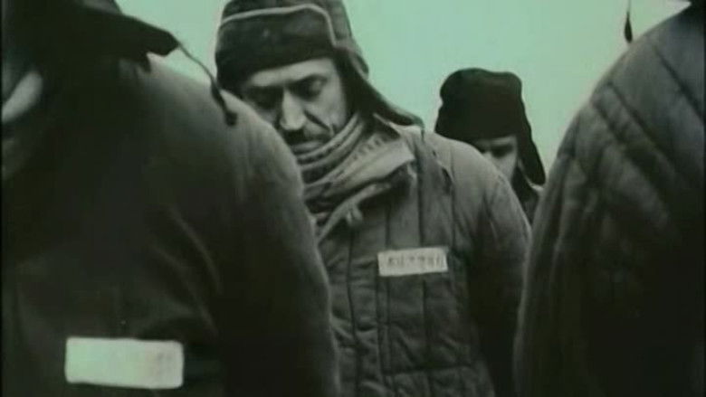 кадр из фильма Верный Руслан (История караульной собаки)