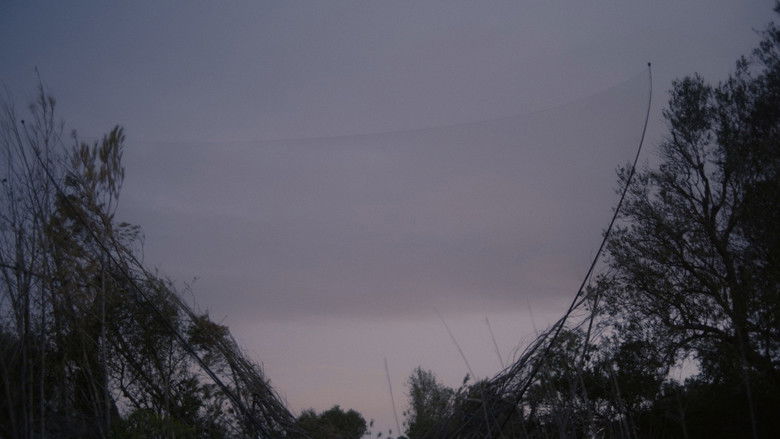 кадр из фильма Pedra i oli