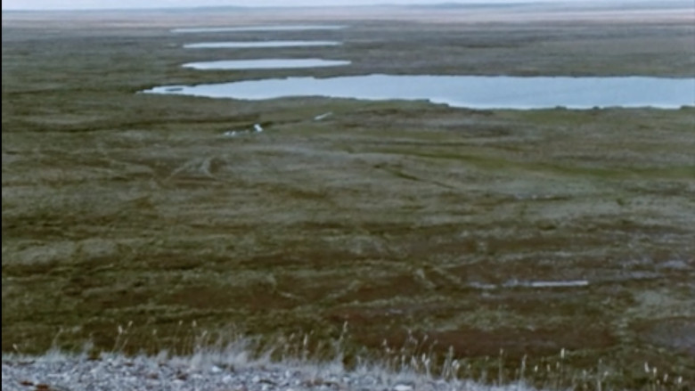 кадр из фильма Netsilik Eskimo, II: At the Caribou Crossing Place