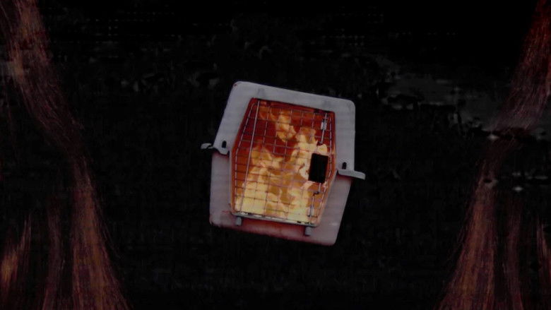 кадр из фильма She's Allergic to Cats